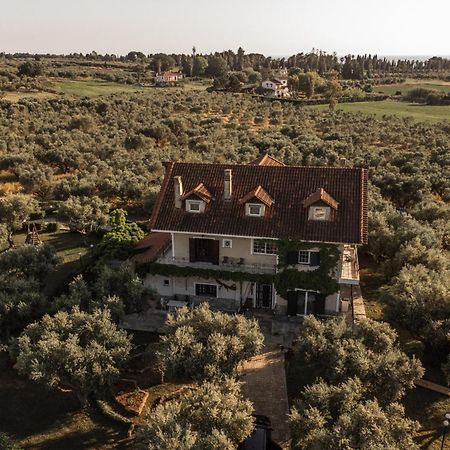 Villa Georgina B&B Katakolo Eksteriør bilde