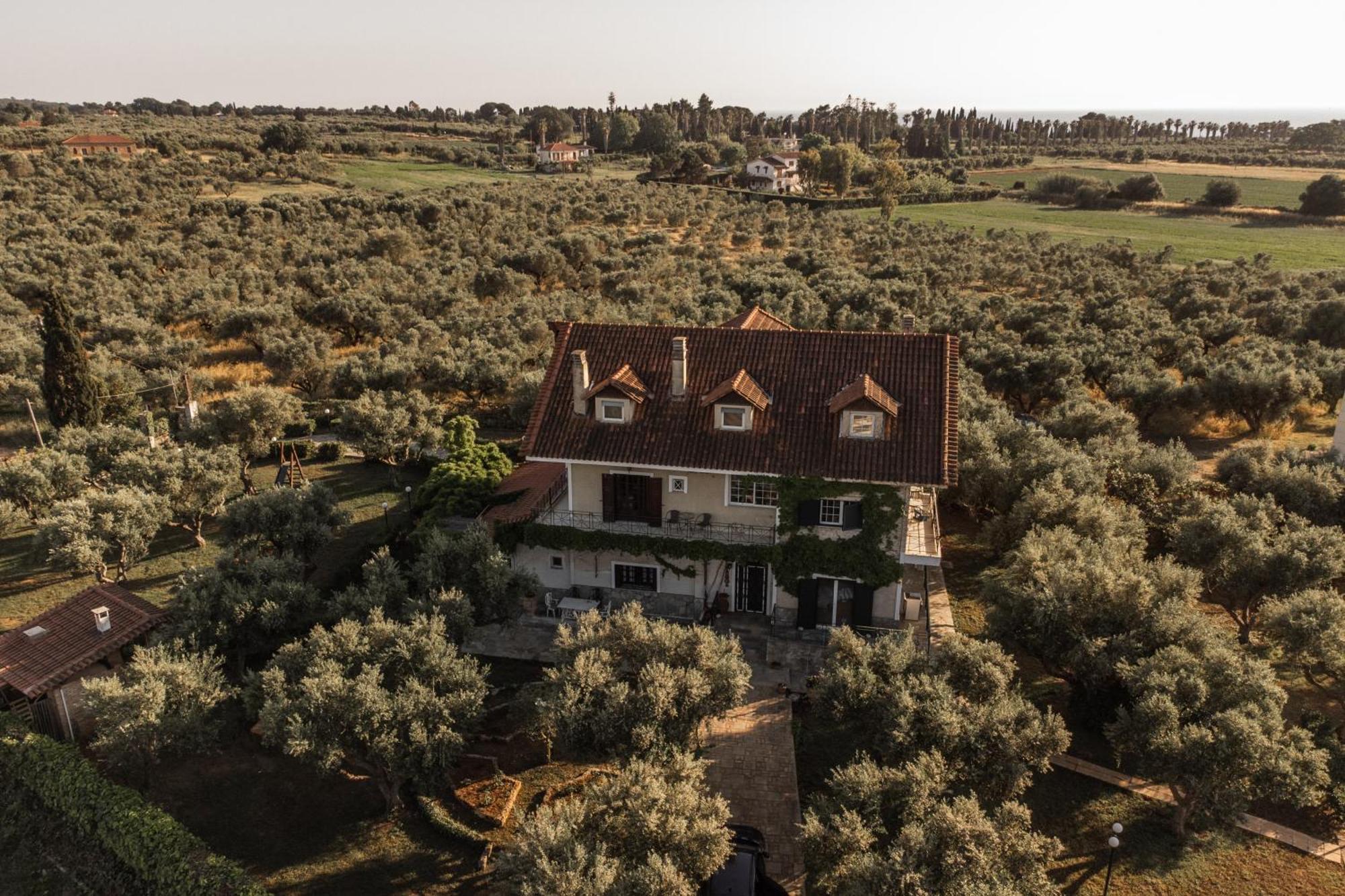 Villa Georgina B&B Katakolo Eksteriør bilde