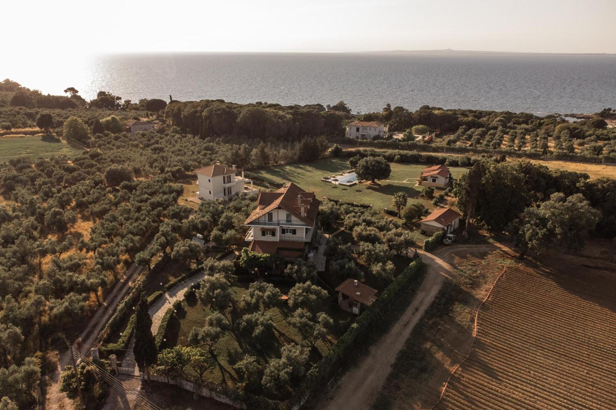 Villa Georgina B&B Katakolo Eksteriør bilde